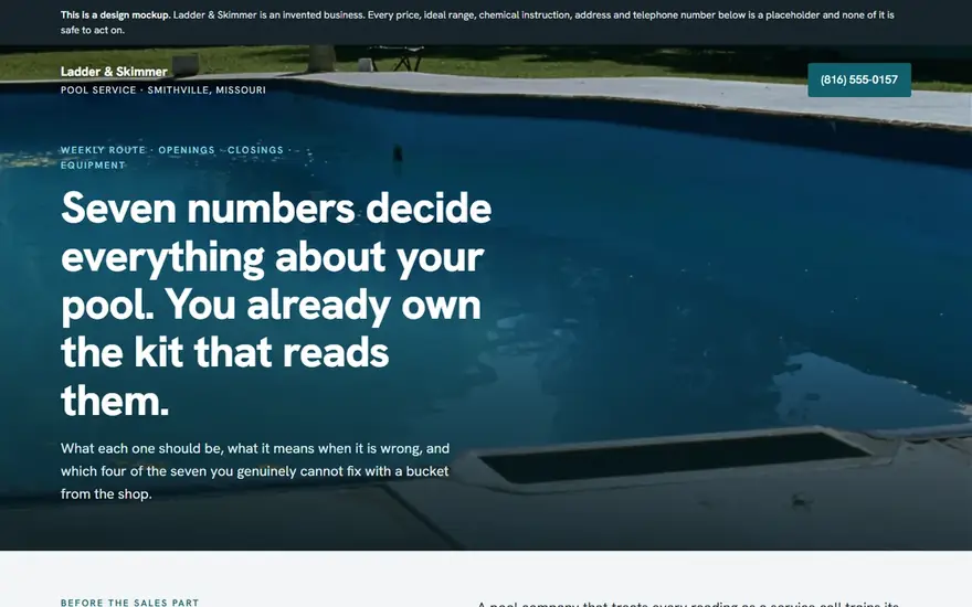 The Ladder & Skimmer website
