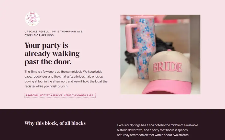 The Lindie Sue's Boutique, concept 5 website